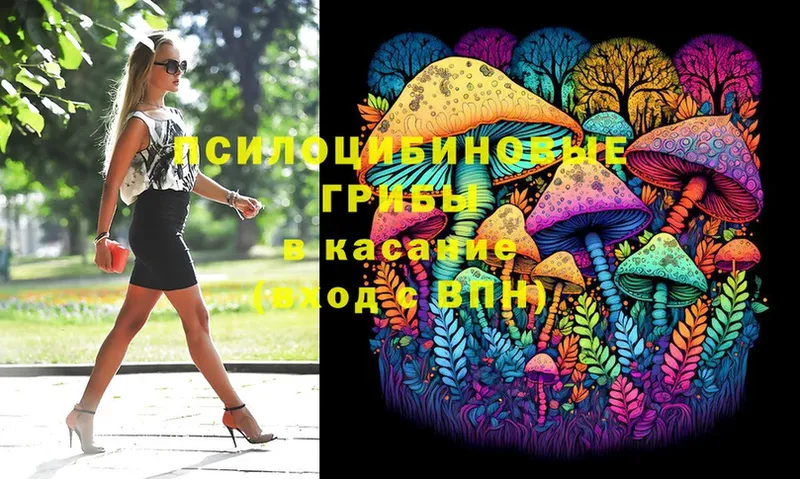 где продают наркотики  Красноперекопск  Галлюциногенные грибы Magic Shrooms 